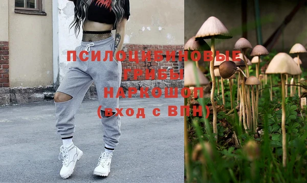 мдпв Медногорск