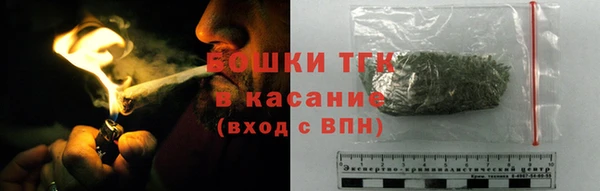 гидра Мегион