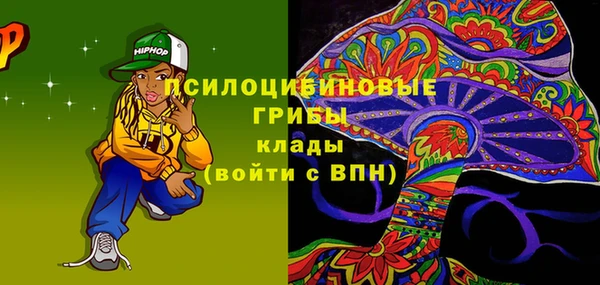 гидра Мегион