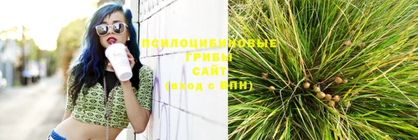 мдпв Медногорск