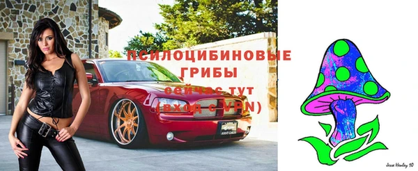 гидра Мегион