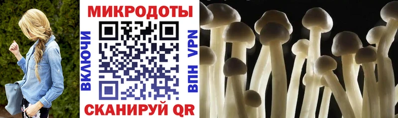 Псилоцибиновые грибы Cubensis что такое наркотик Ессентукская