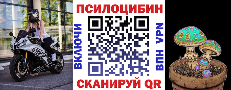 Псилоцибиновые грибы MAGIC MUSHROOMS Ессентукская